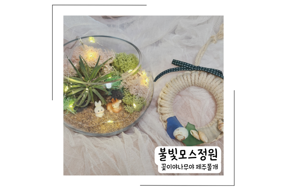 힐링원예협동조합 이미지