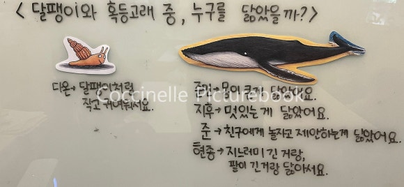시넬 이미지