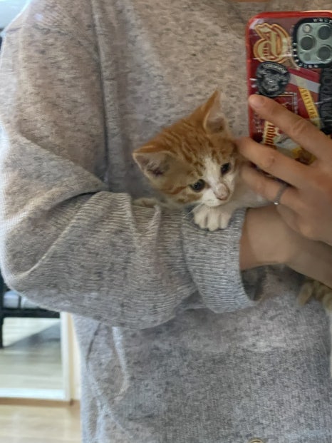 일공육포차 이미지