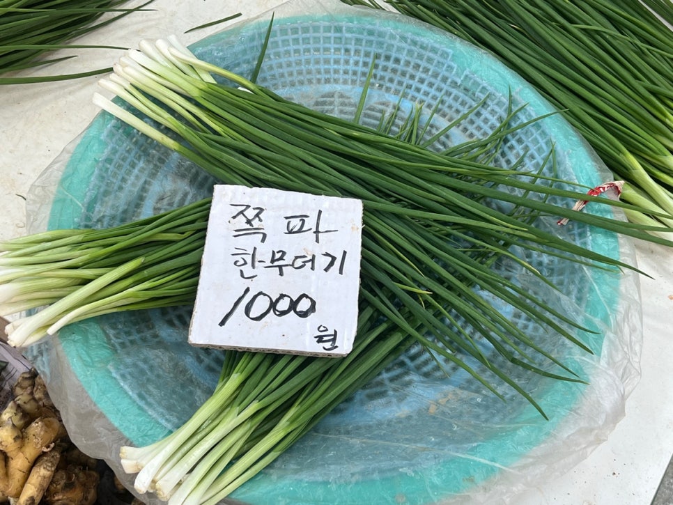 진희상회 이미지