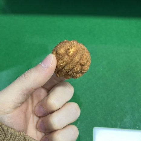 붕붕호두 이미지