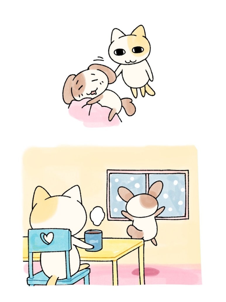 파퓰러 이미지