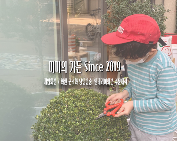 미미화원 이미지