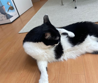 버틀랩 이미지