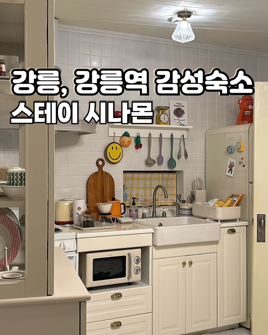 스테이시나몬 이미지