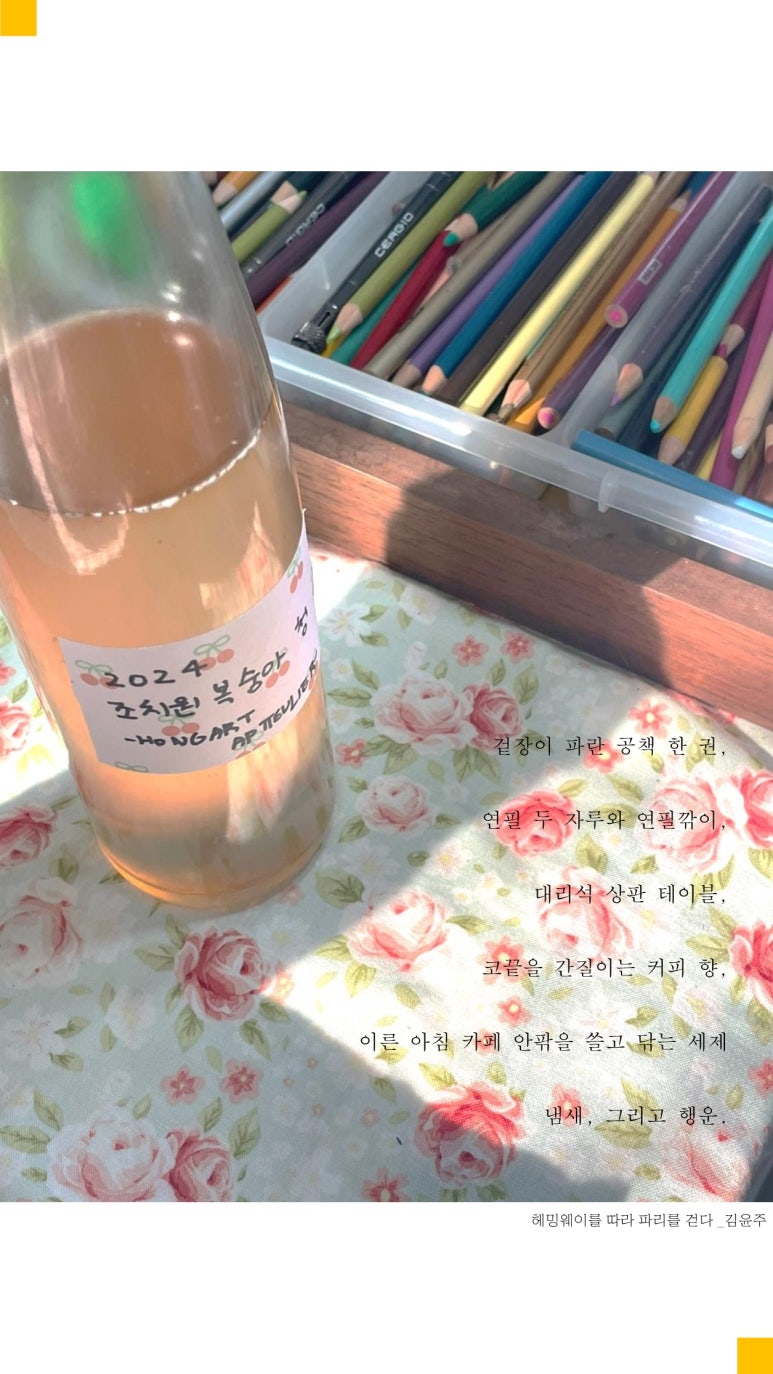 앞뜰리에 이미지
