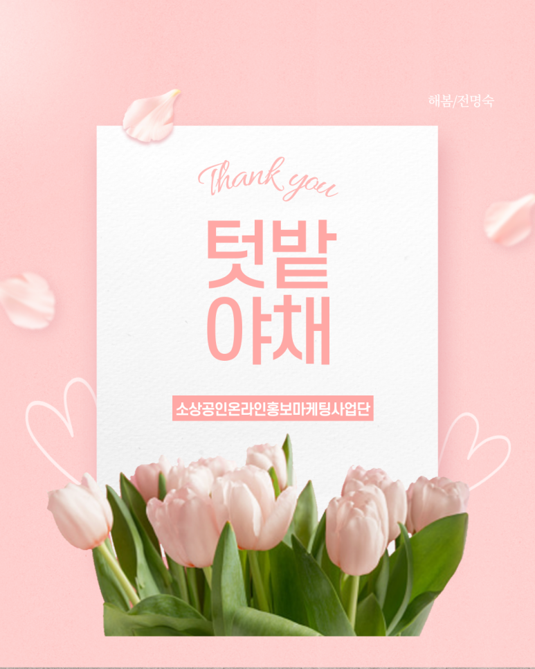 텃밭야채반찬 이미지