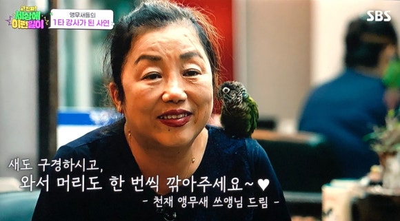 컷트만들기 이미지