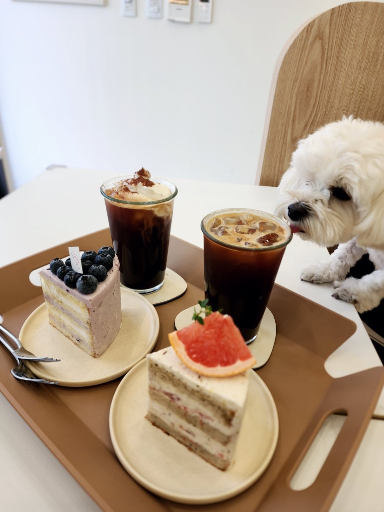 채움 케이크샵 이미지
