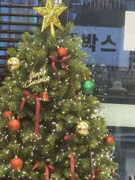 설화반점 이미지