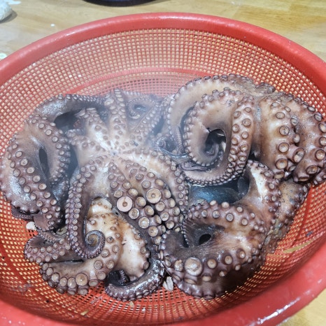 늘푸른기사식당 이미지