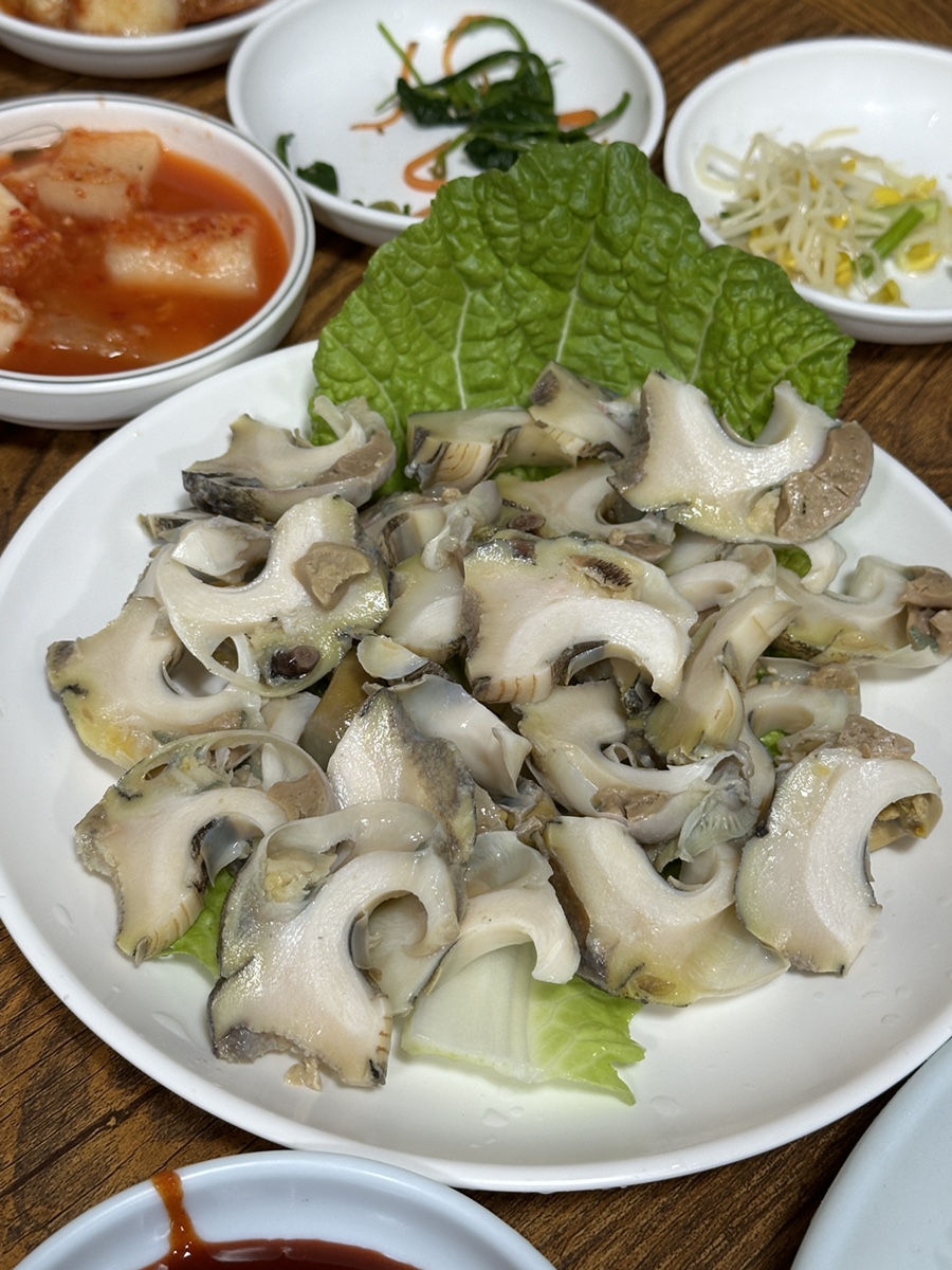 소라 이미지