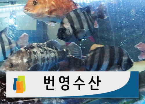 오배수산 이미지