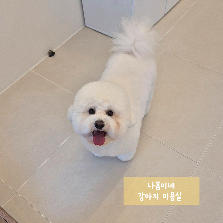 릴리테라피 이미지
