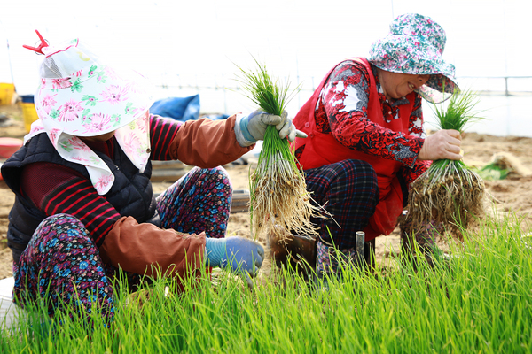 서산엔마트 이미지