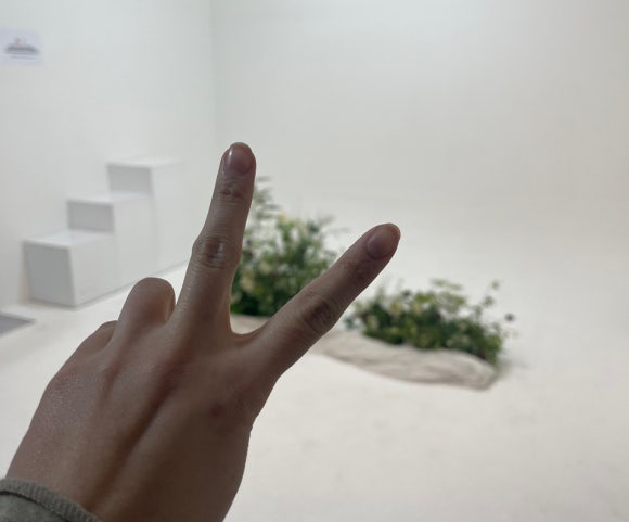 피드코퍼레이션 이미지