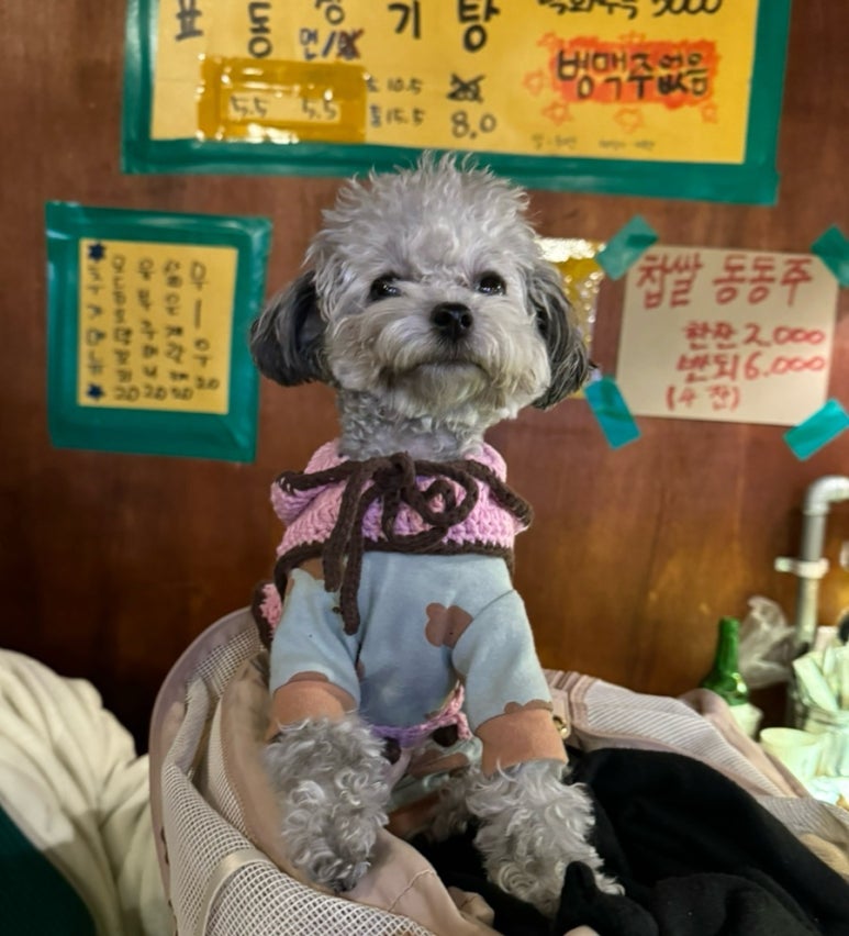 부광사진관 이미지