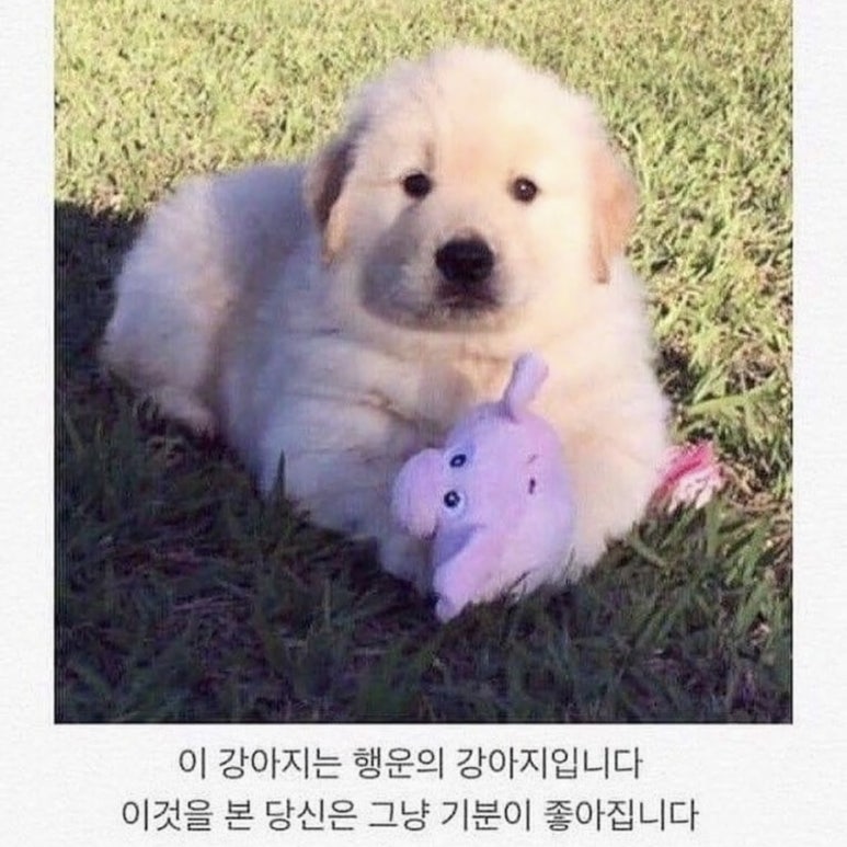 믿는구석 이미지