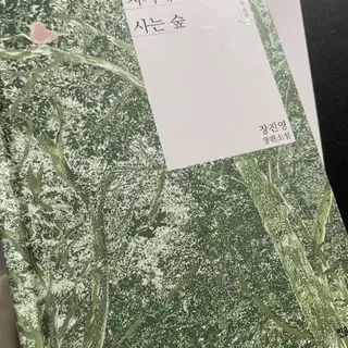 더치치 이미지