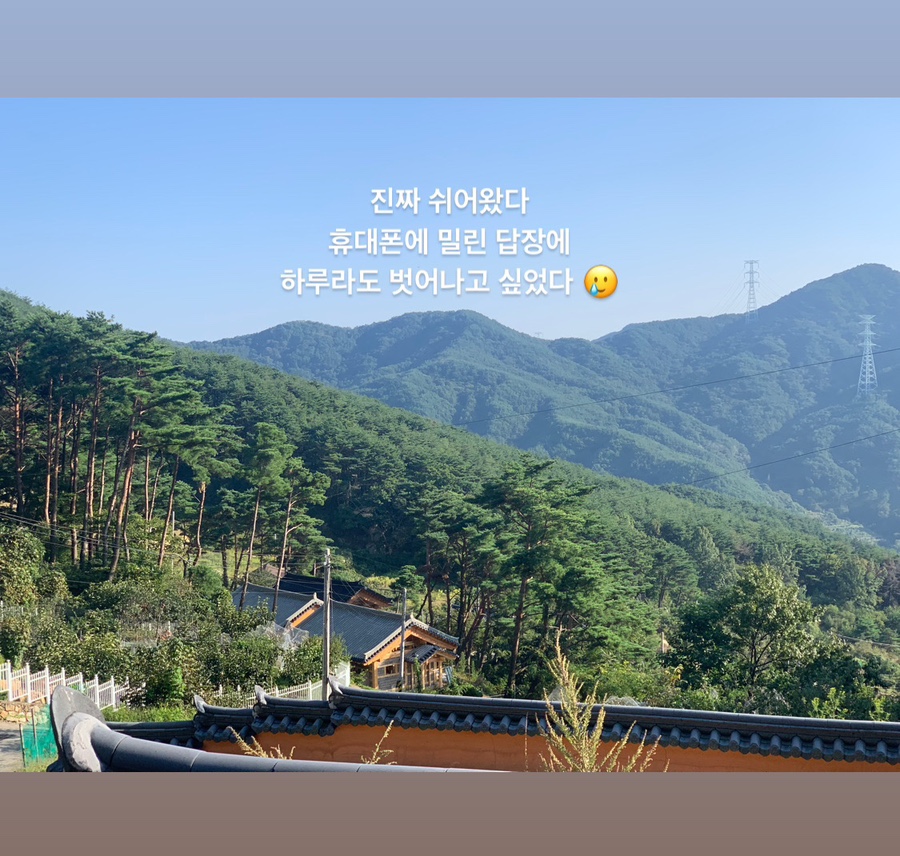 상춘가 이미지
