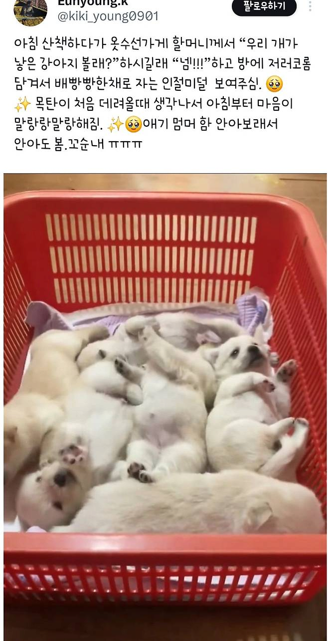 옷수선 이미지