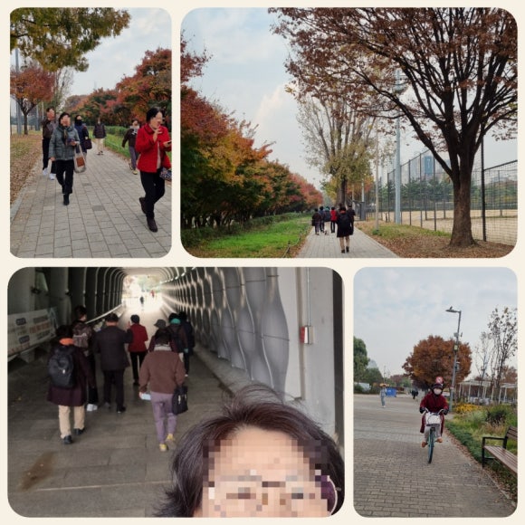 롯데리아뚝섬유원지점 이미지