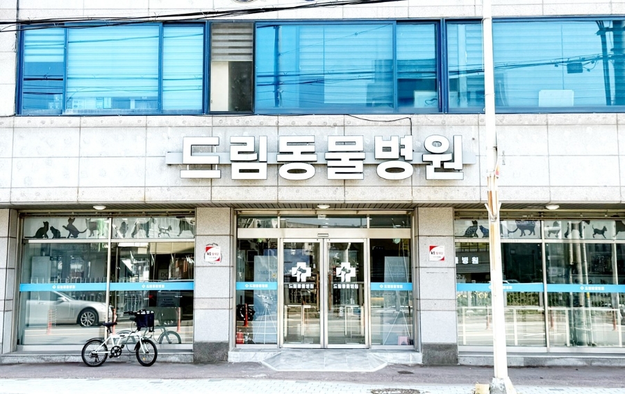 수동물병원 이미지