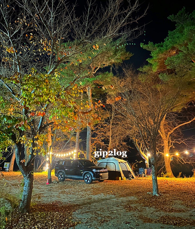 돌배야영장제2야영장 이미지
