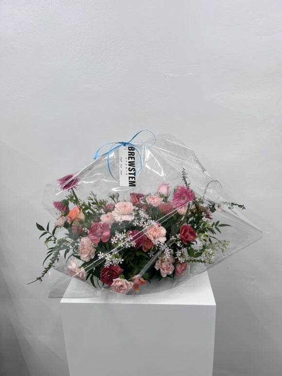 브루스템 이미지