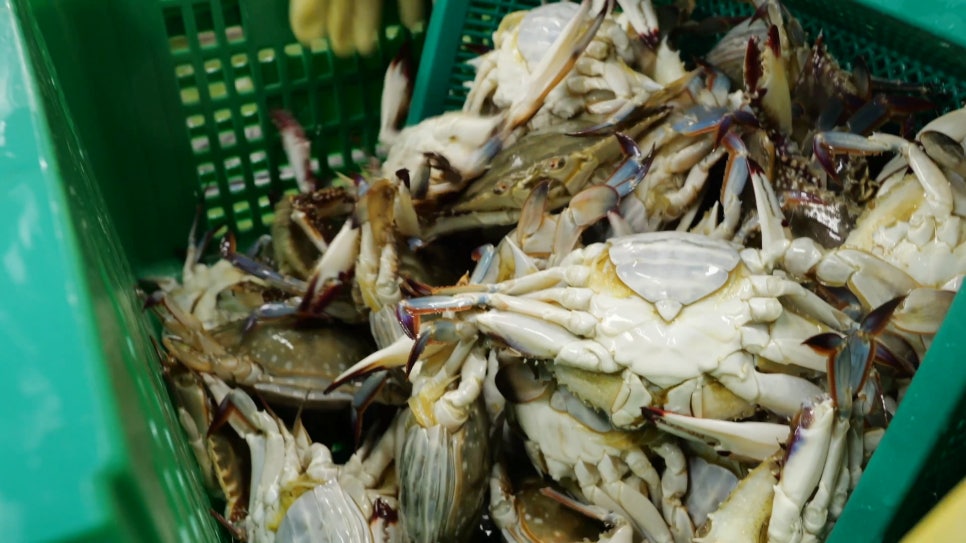 오제이씨푸드(주) 이미지