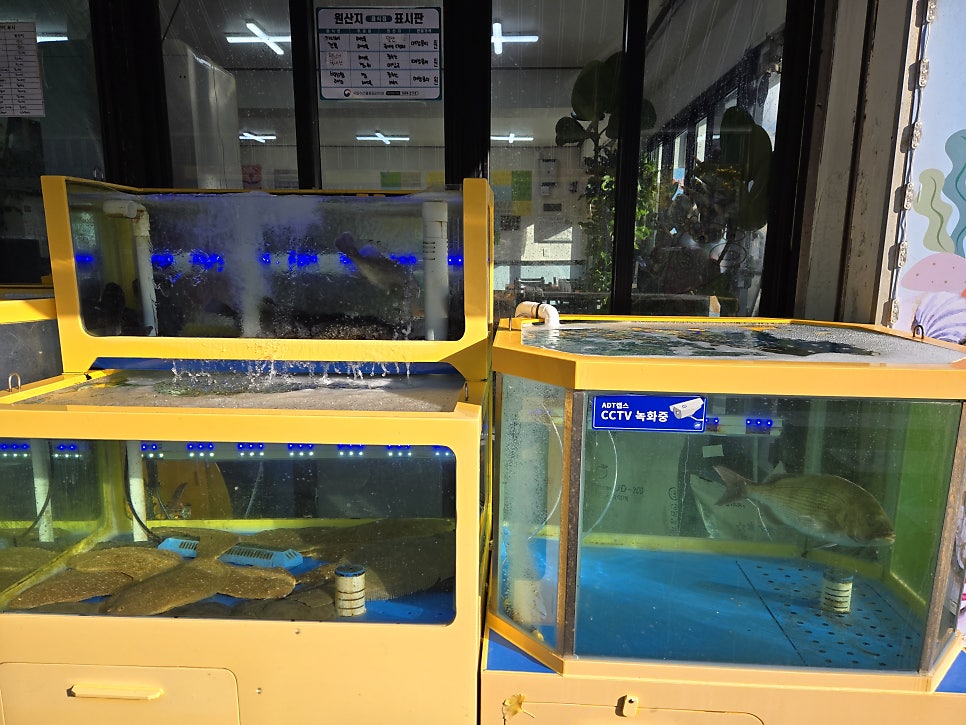 회포차~어기여차 이미지