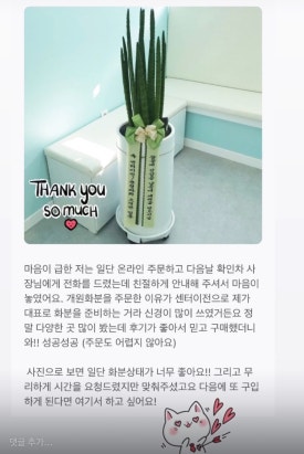 미미화원 이미지