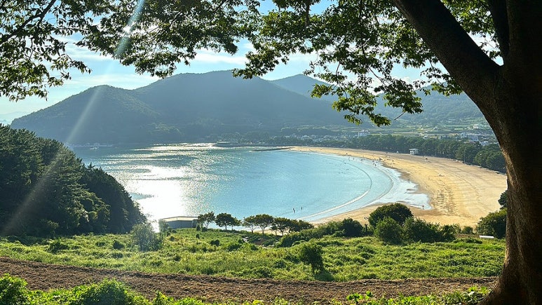유서방 회 떠가시다 이미지