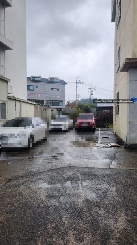 채담 사진 4