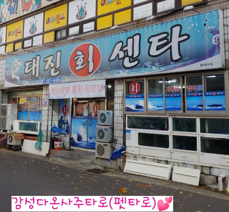 대진회센타 이미지