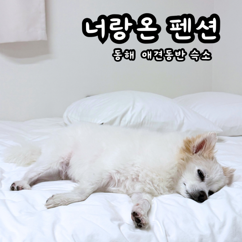 너랑온 이미지