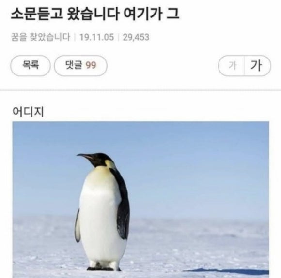 애시당초 이미지