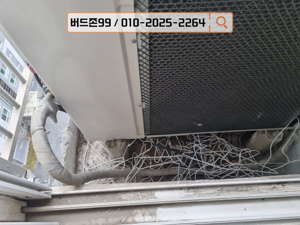비둘기세탁소 이미지