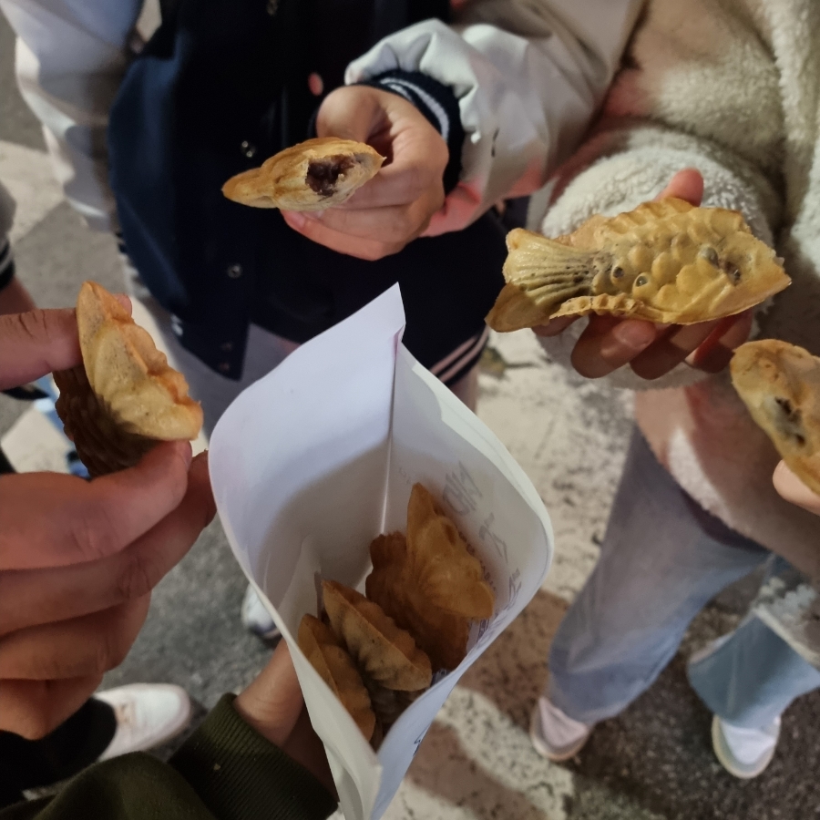 팜잉 이미지