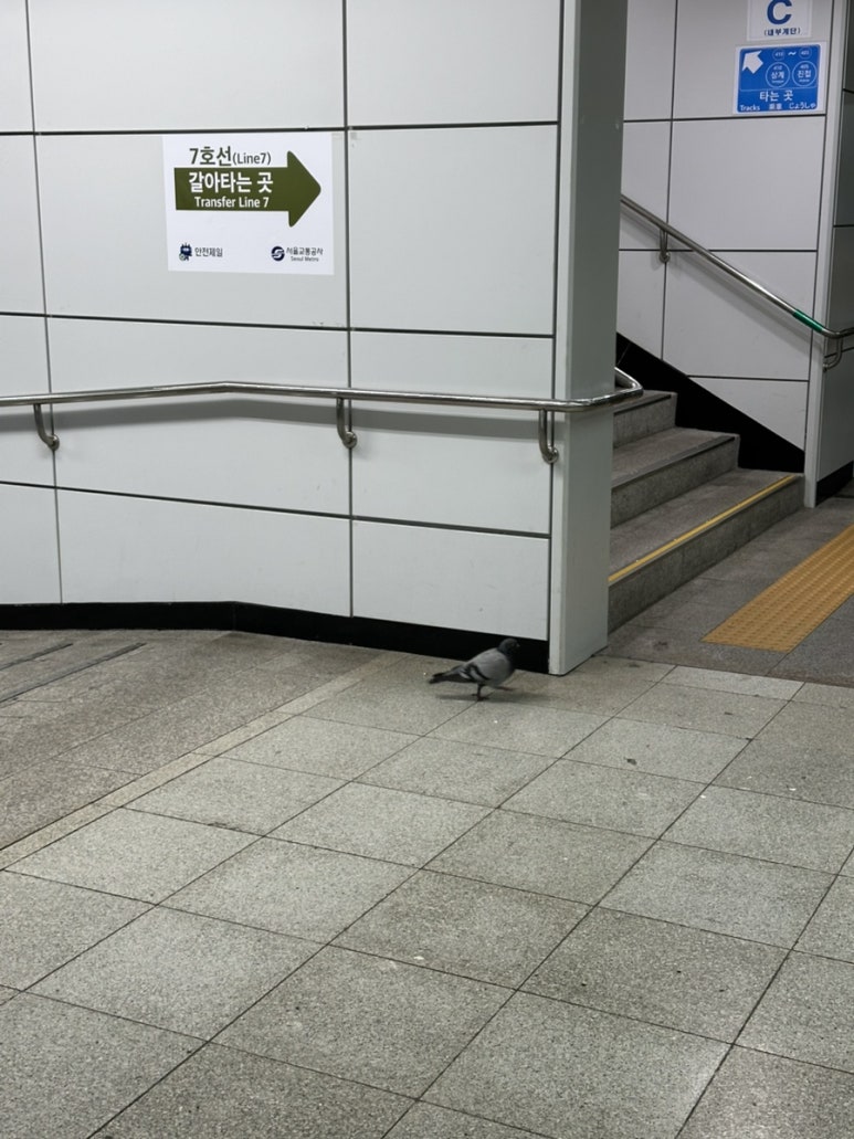 구의본치과 이미지