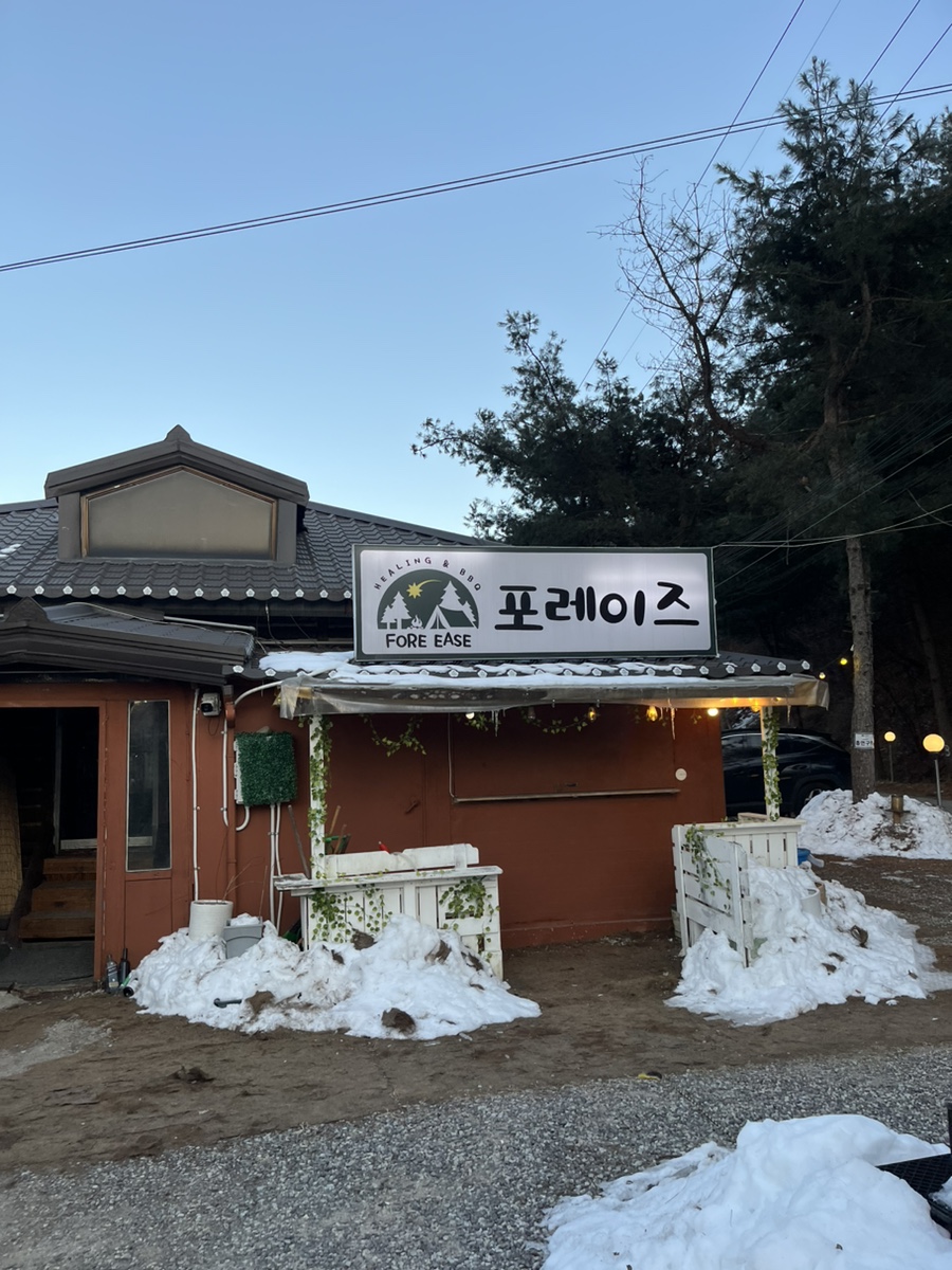 포레이즈 이미지