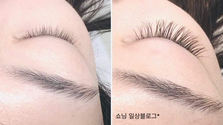 래쉬엔젤 이미지