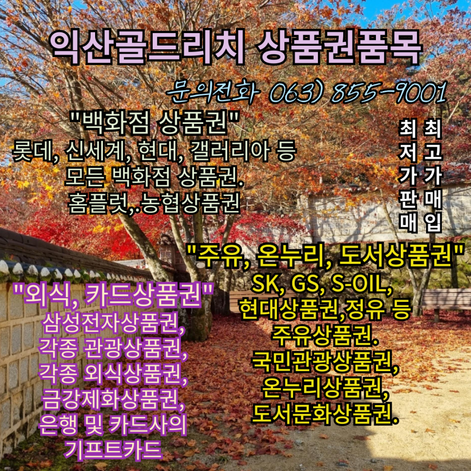 리치제화 이미지
