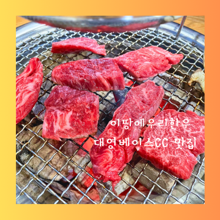 이땅에한우 이미지