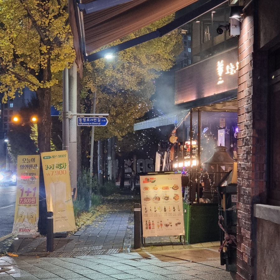 팜잉 이미지