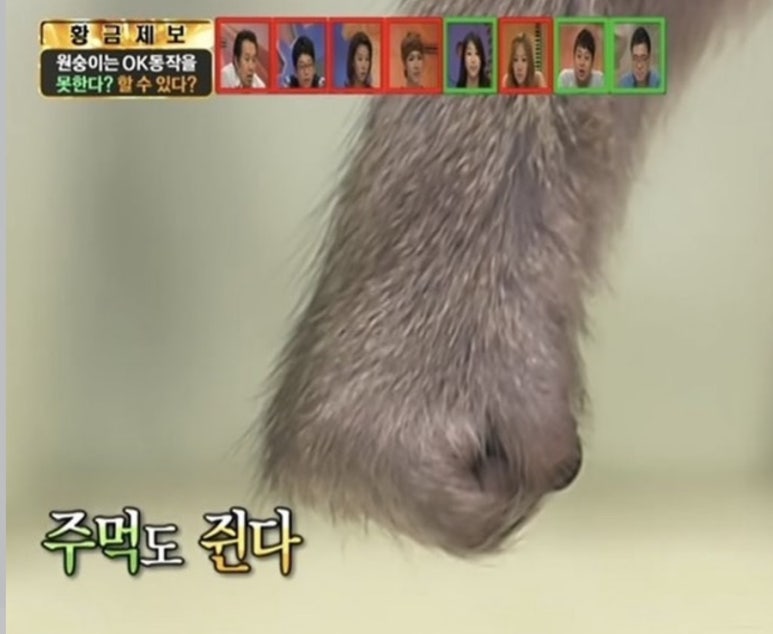 파라다이스투어 이미지