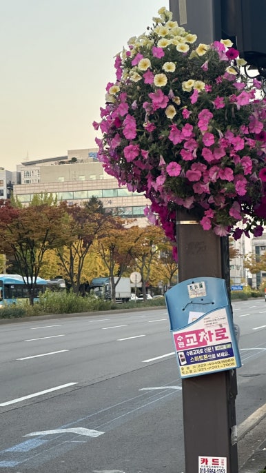 SUN당구장 이미지