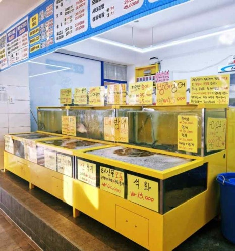 회프로 이미지