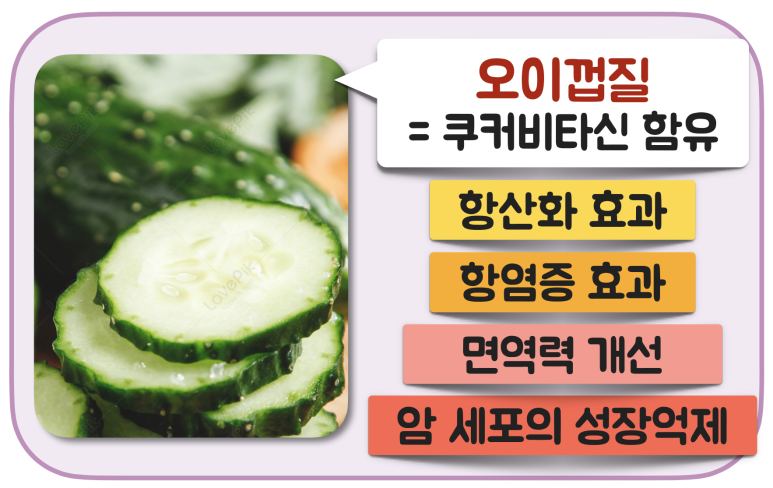 경대돌담병원 이미지