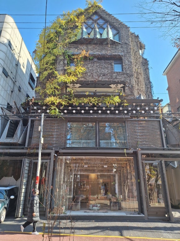 앤솔로지아 이미지